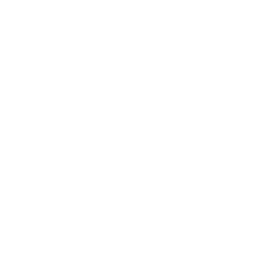 Diritto della navigazione